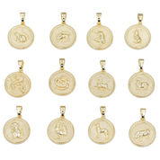 Lunar Long Chain Medallion Necklace