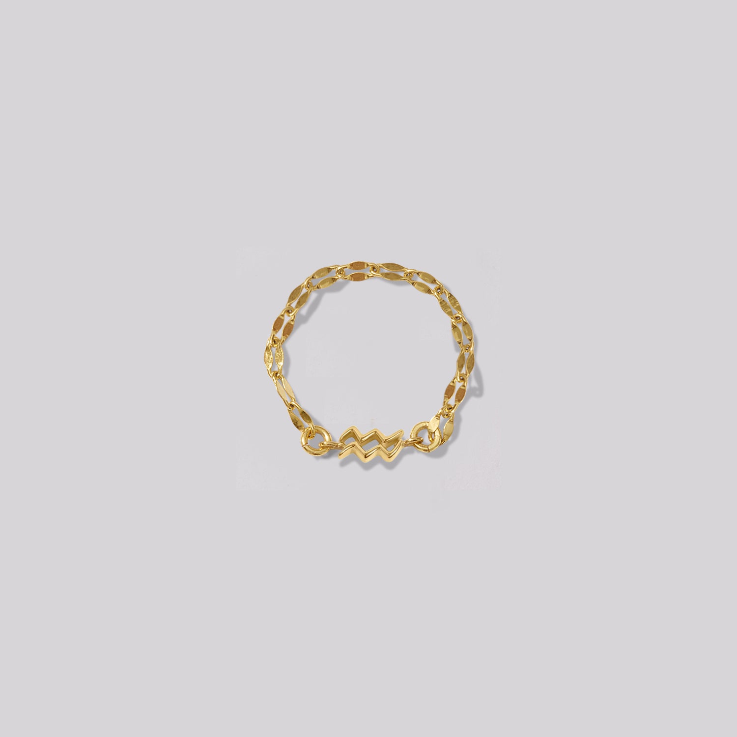 Zodiac Mirror Chain Ring