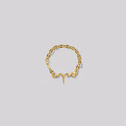 Zodiac Mirror Chain Ring