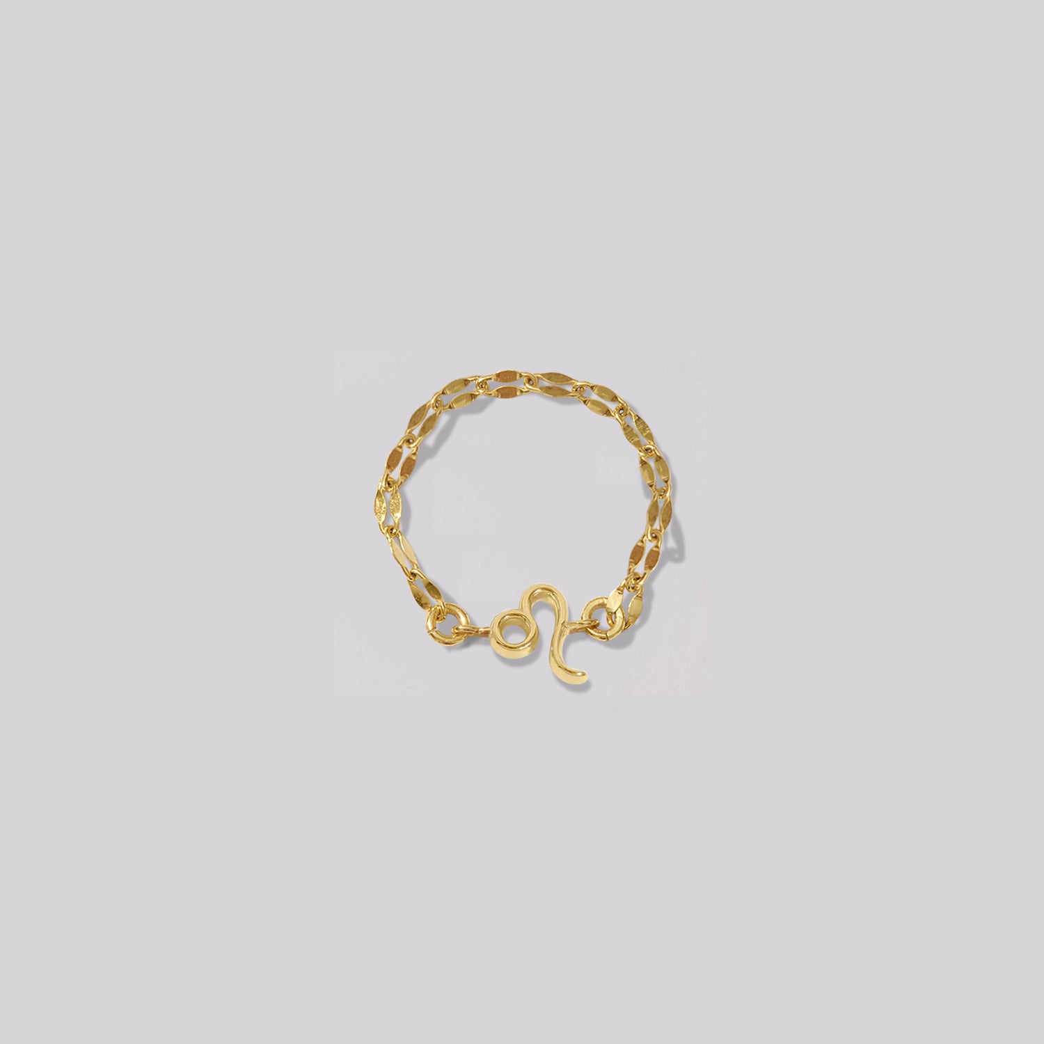 Zodiac Mirror Chain Ring