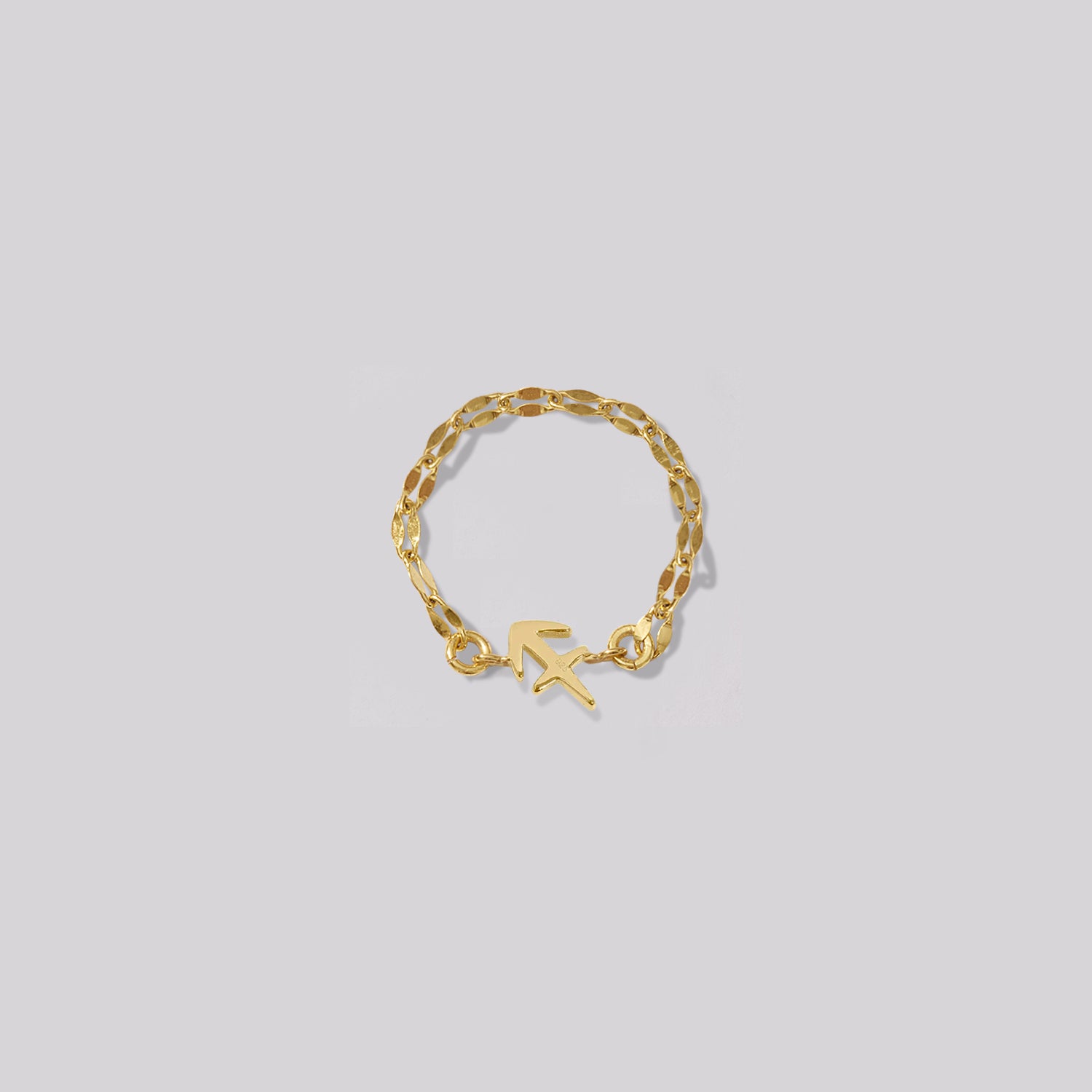 Zodiac Mirror Chain Ring