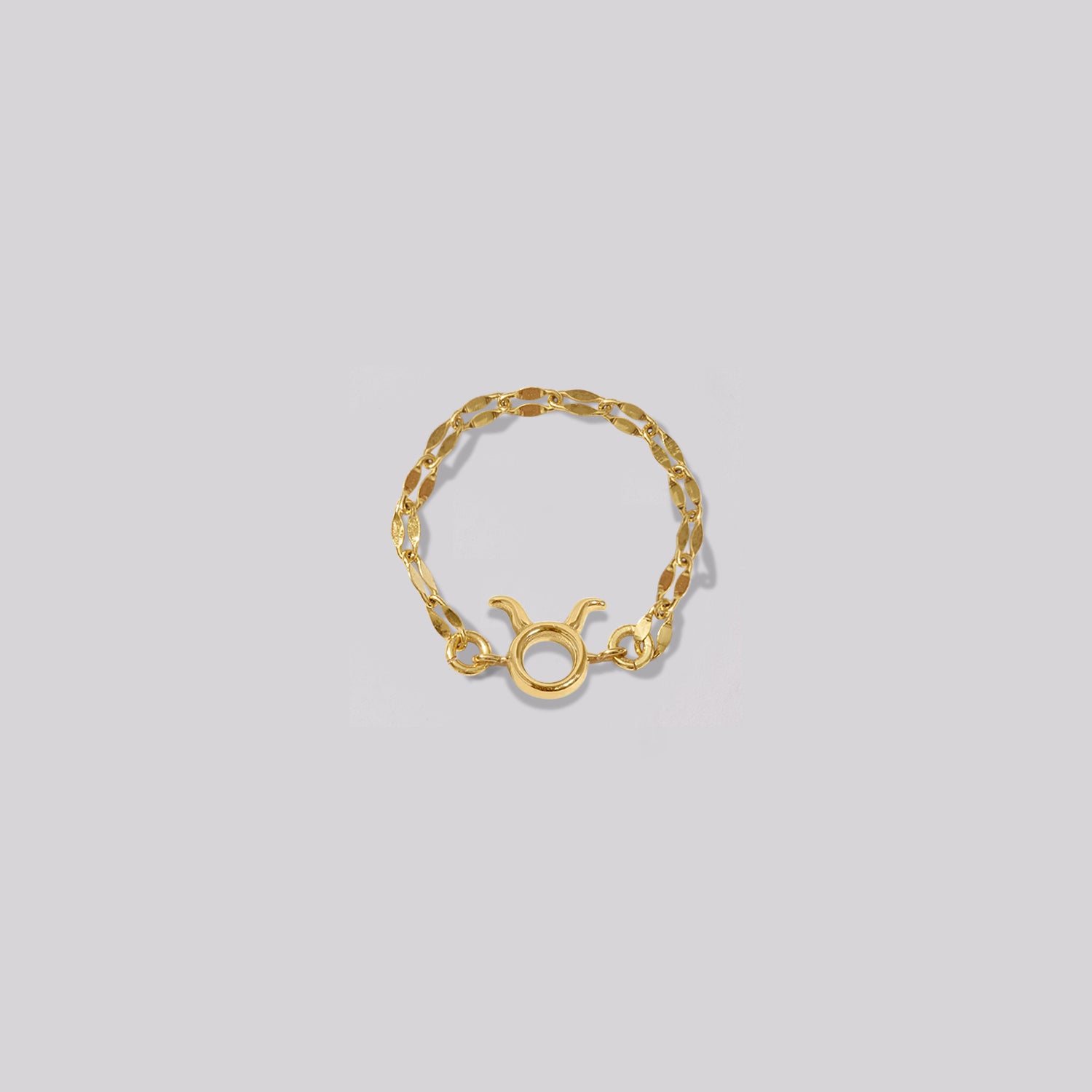 Zodiac Mirror Chain Ring