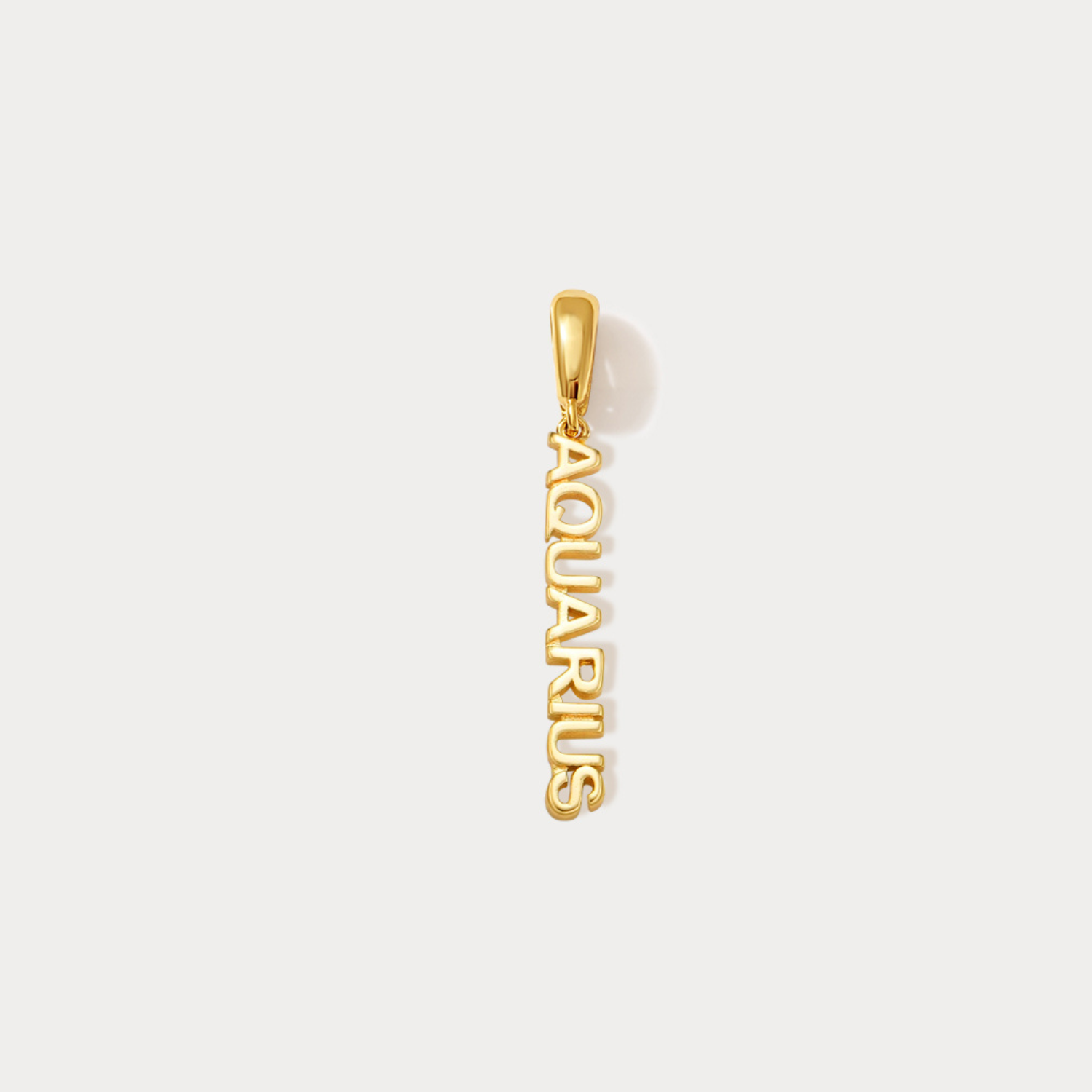 Essential Zodiac Clip On Charm