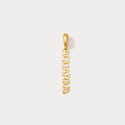 Essential Zodiac Clip On Charm