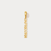 Essential Zodiac Clip On Charm