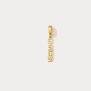 Essential Zodiac Clip On Charm