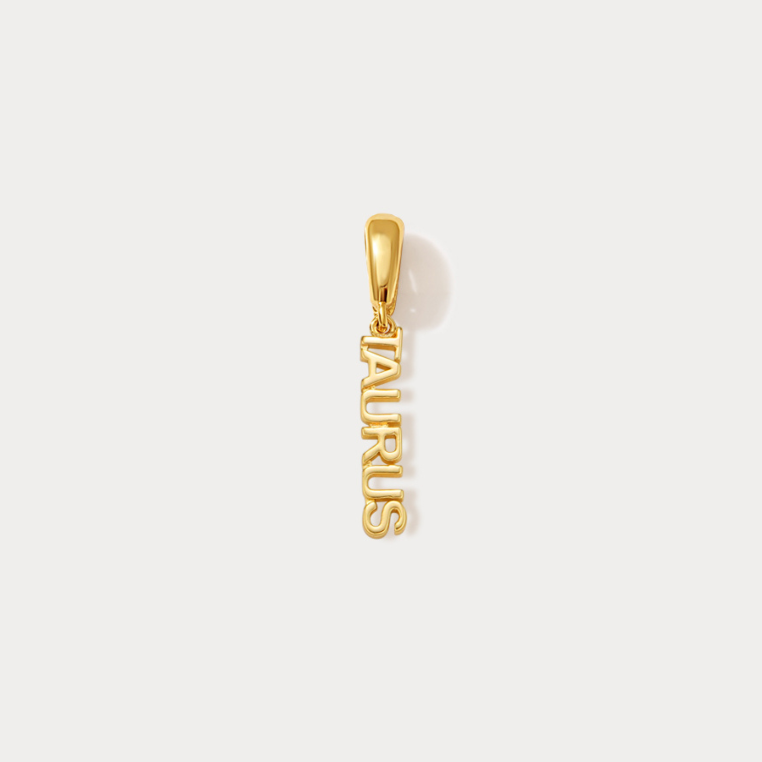 Essential Zodiac Clip On Charm