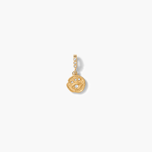 Mini Eye Coin Charm