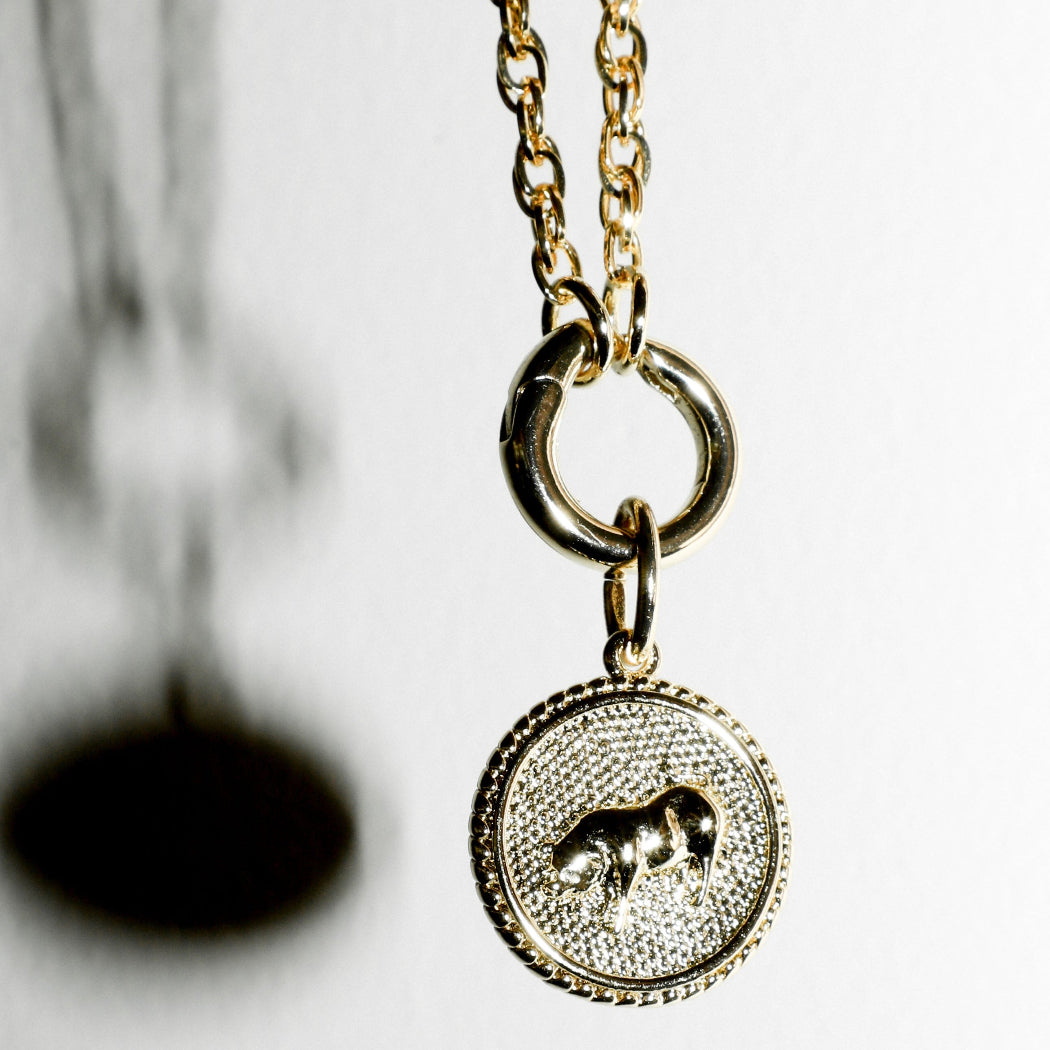 Lunar Long Chain Medallion Necklace