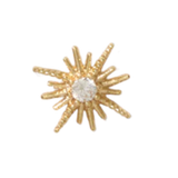 Celestial Star
