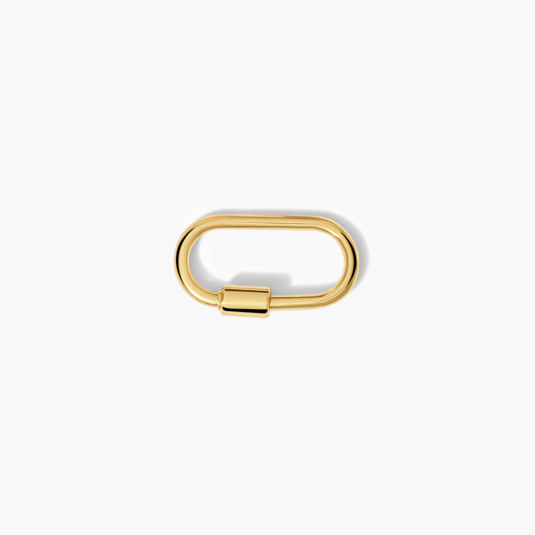 Chunky_Carabiner_Charm_Keeper_d8d0d2af-3d4e-4429-bbf0-7523b400ba46.png
