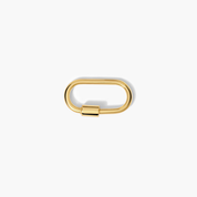 Chunky Carabiner Charm Keeper