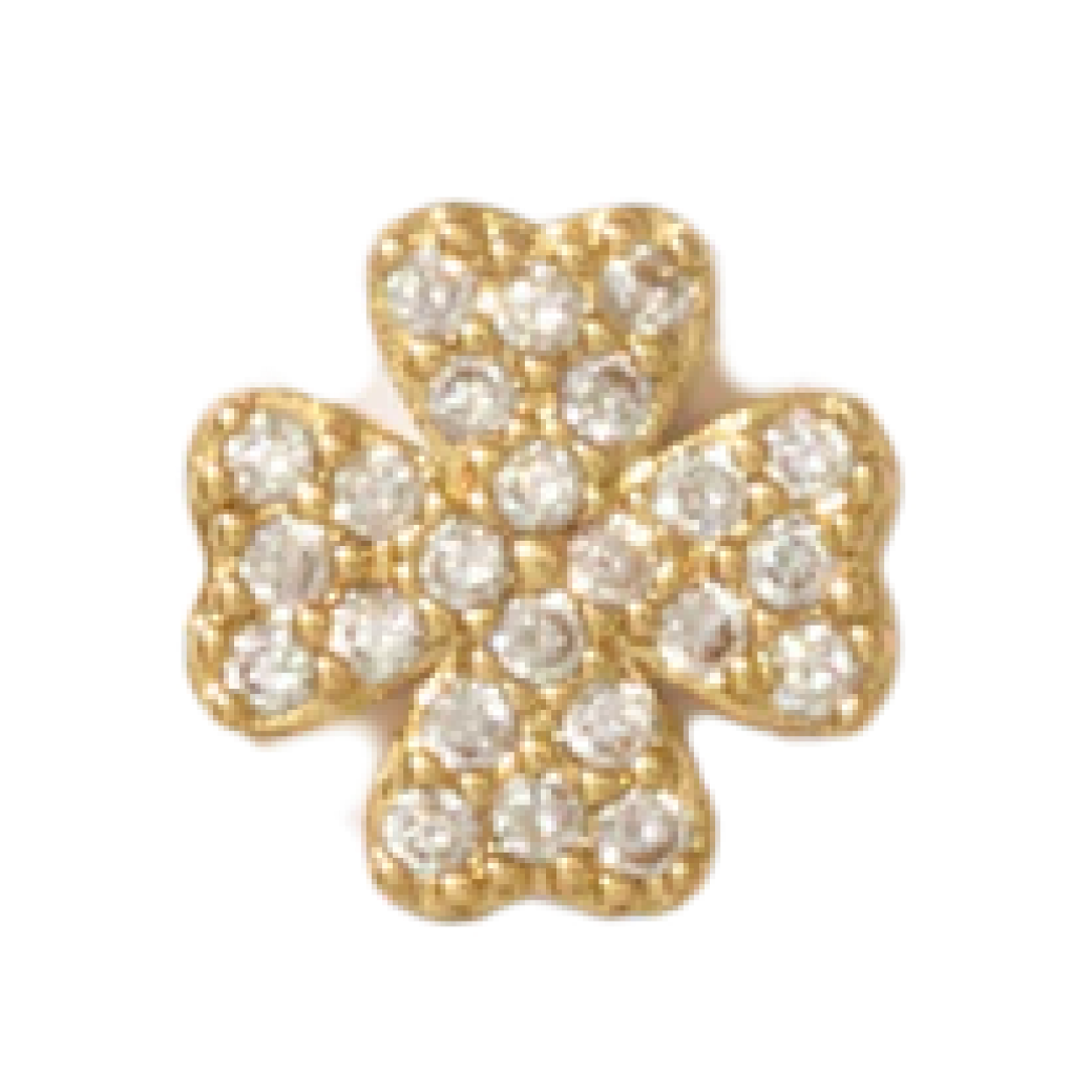 Clover_d2cf814e-e50f-4ada-89cd-c8d2de02b212.png