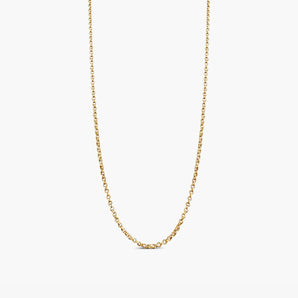 Dainty Rolo Chain