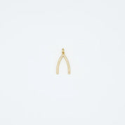 Pavé Wishbone Charm