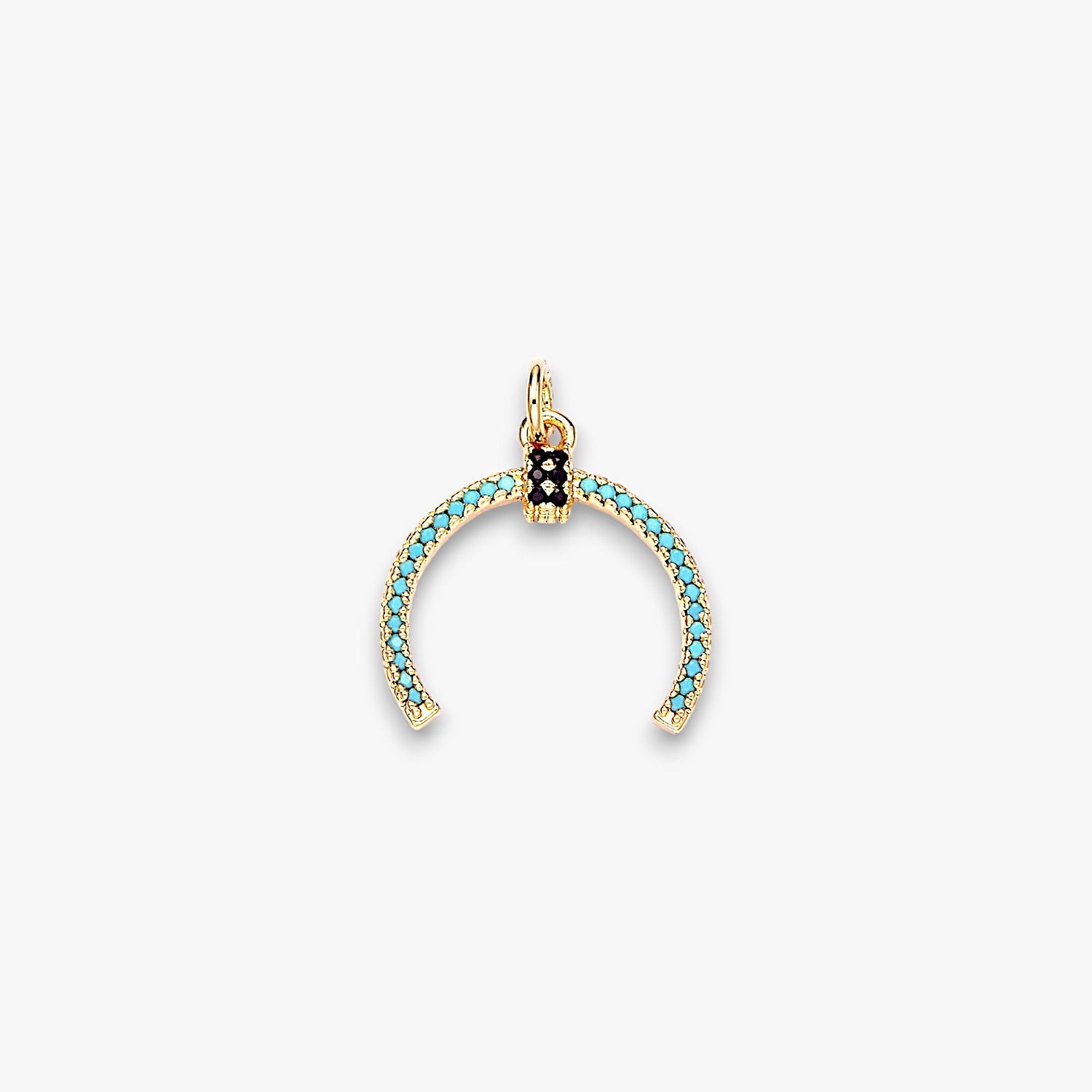 Prosperity Turquoise Horn Charm