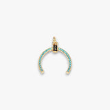 Prosperity Turquoise Horn Charm