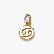 Tiny Zodiac Disc Charm
