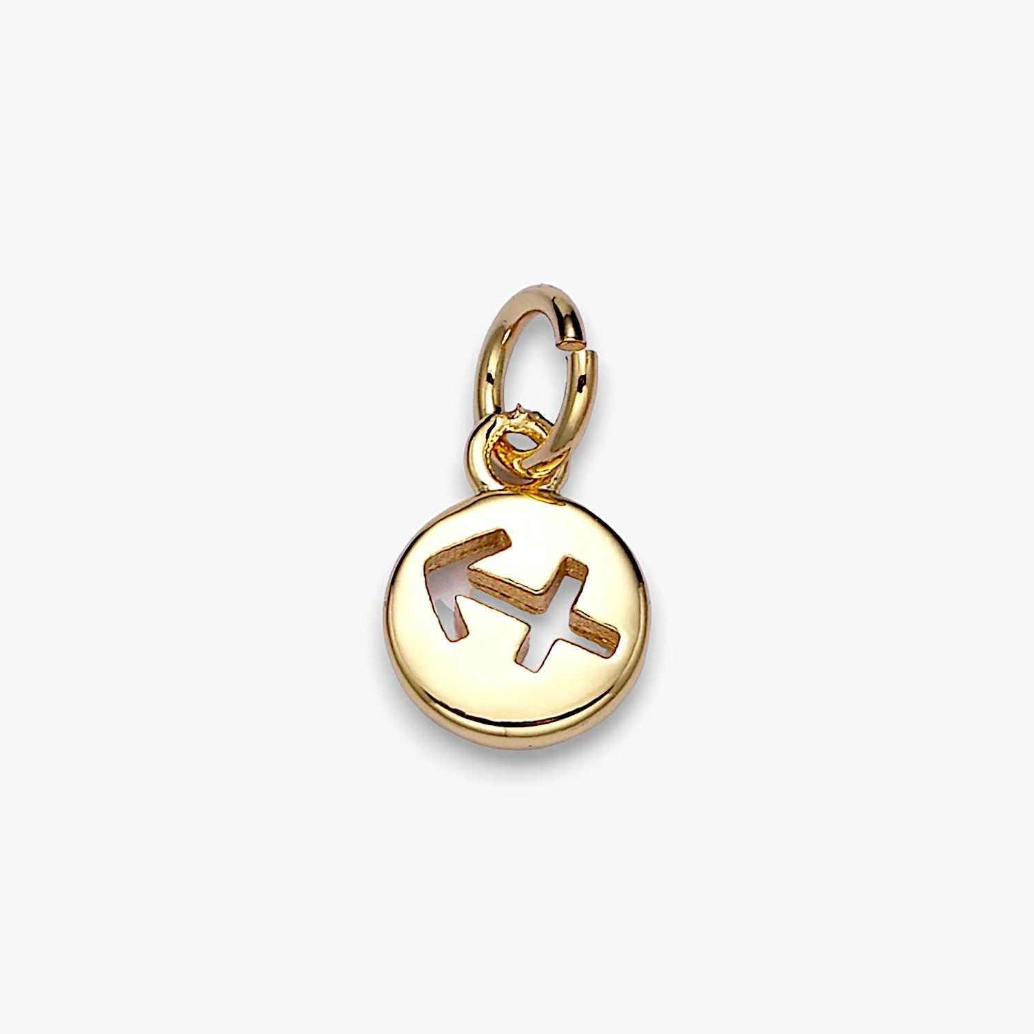 Tiny Zodiac Disc Charm