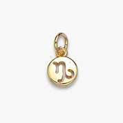 Tiny Zodiac Disc Charm
