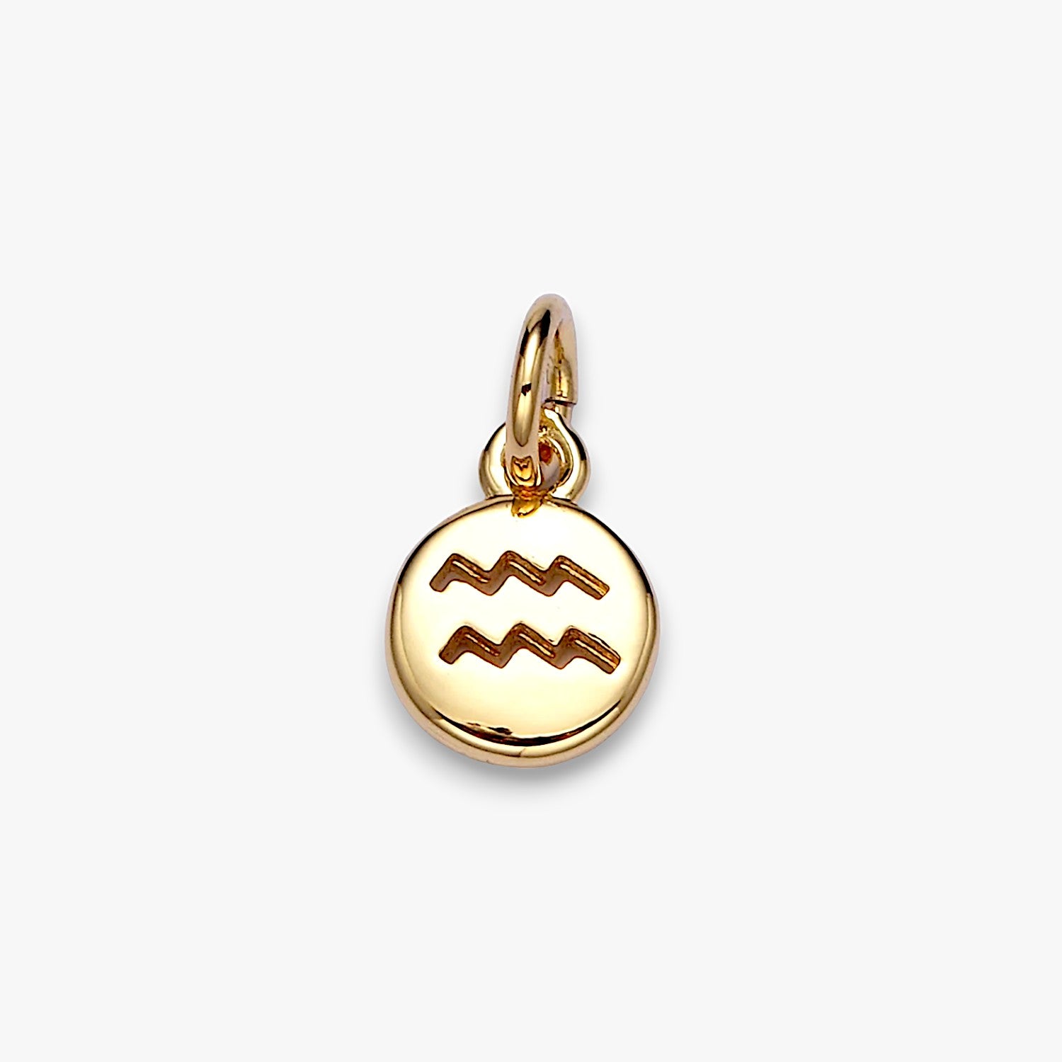Tiny Zodiac Disc Charm