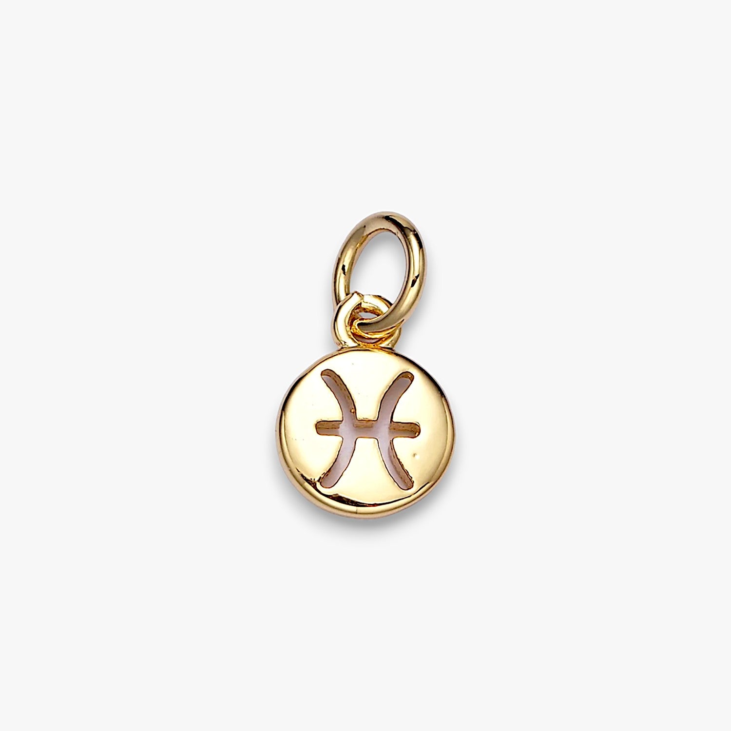 Tiny Zodiac Disc Charm