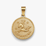 Lumina Talisman Zodiac Necklace