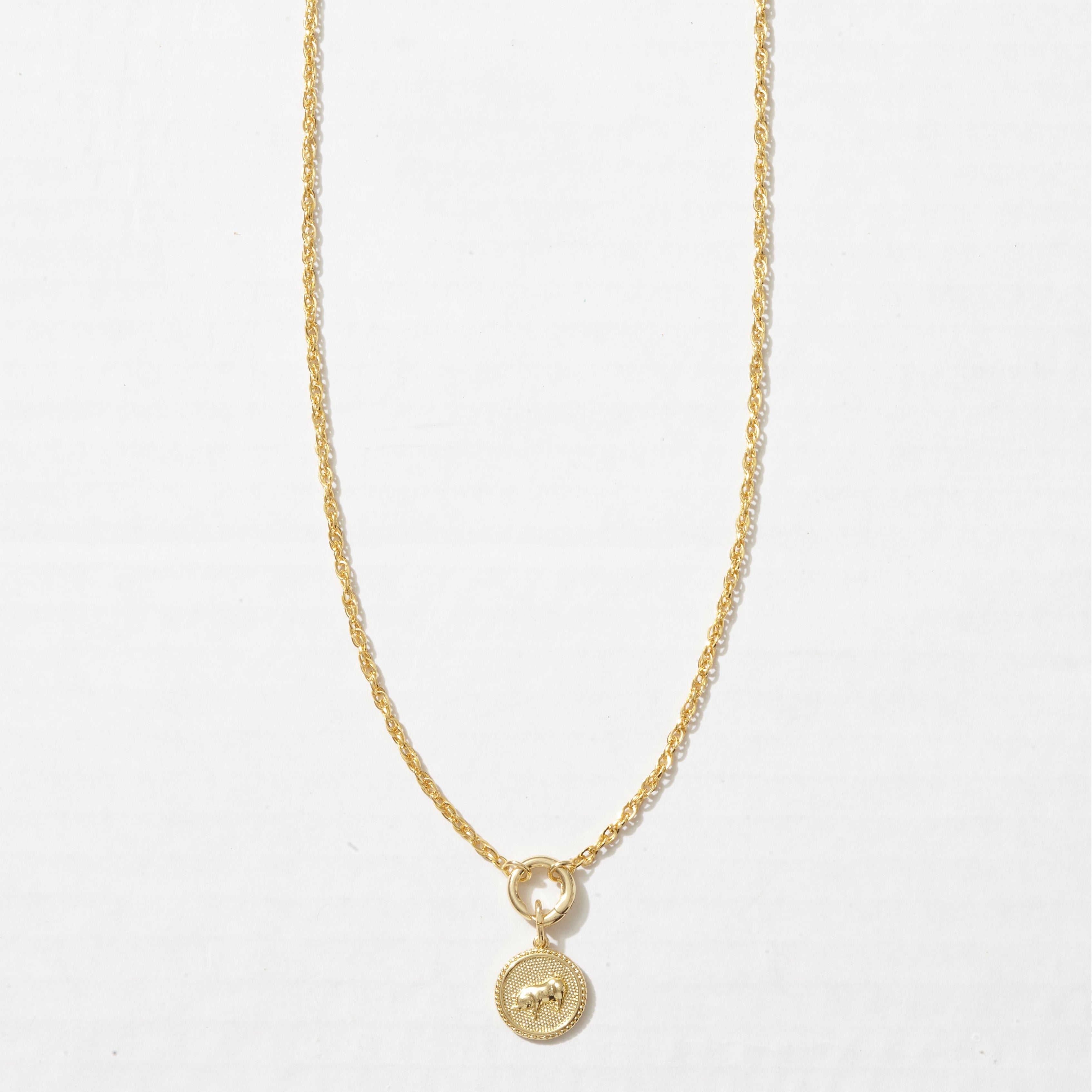 Lunar Long Chain Medallion Necklace