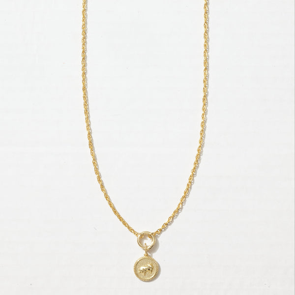 Lunar Long Chain Medallion Necklace