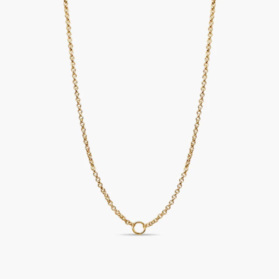 dainty-rolo-charm-chain_8088240c-6f58-46c8-ae64-98befa221fd6.jpg