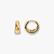 Alexie Signature Hoops