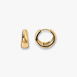 Alexie Signature Hoops