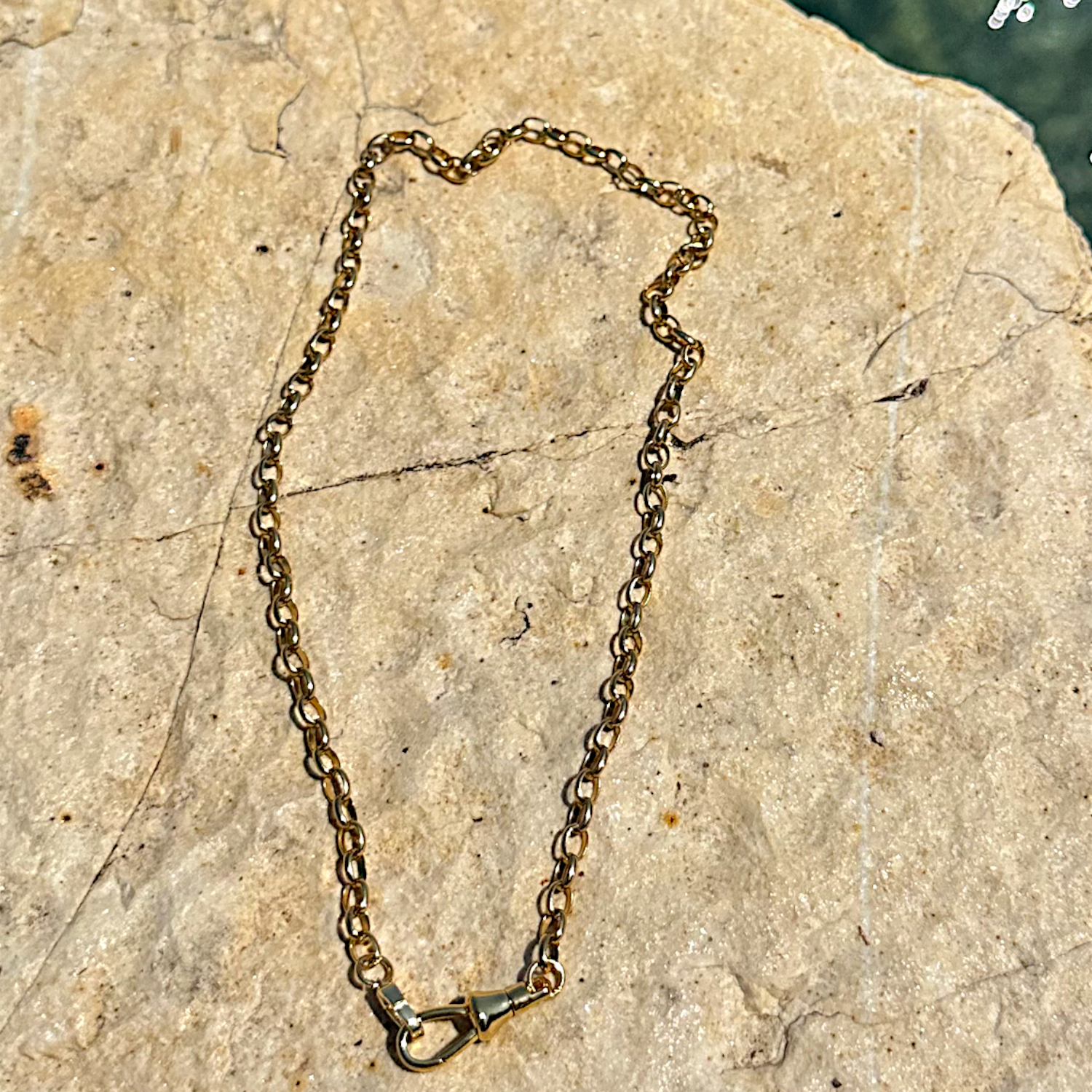 heirloom_chain_hydra_image-Photoroom.png