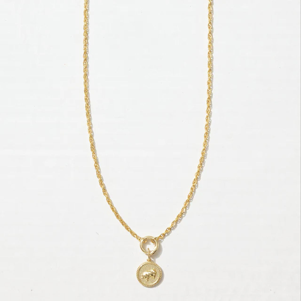 lunar-long-chain-medallion-necklace_fbbf8fca-a2c6-421e-b330-3c1d0a7a8912.jpg