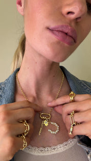 Sabine Clip on Horseshoe Talisman