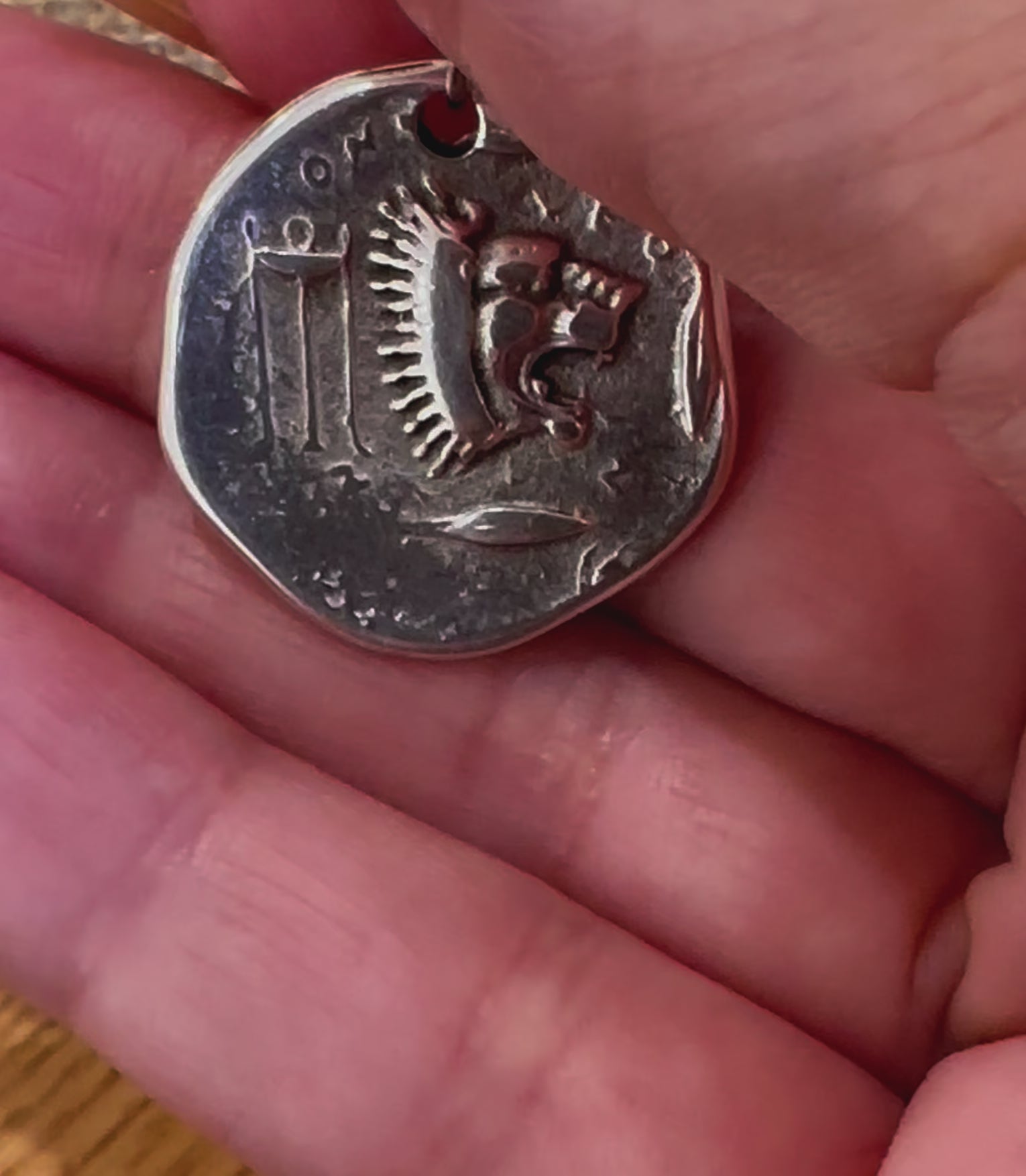 Guardian Reversible Clip Medallion