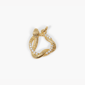 Transformative Snake Amulet