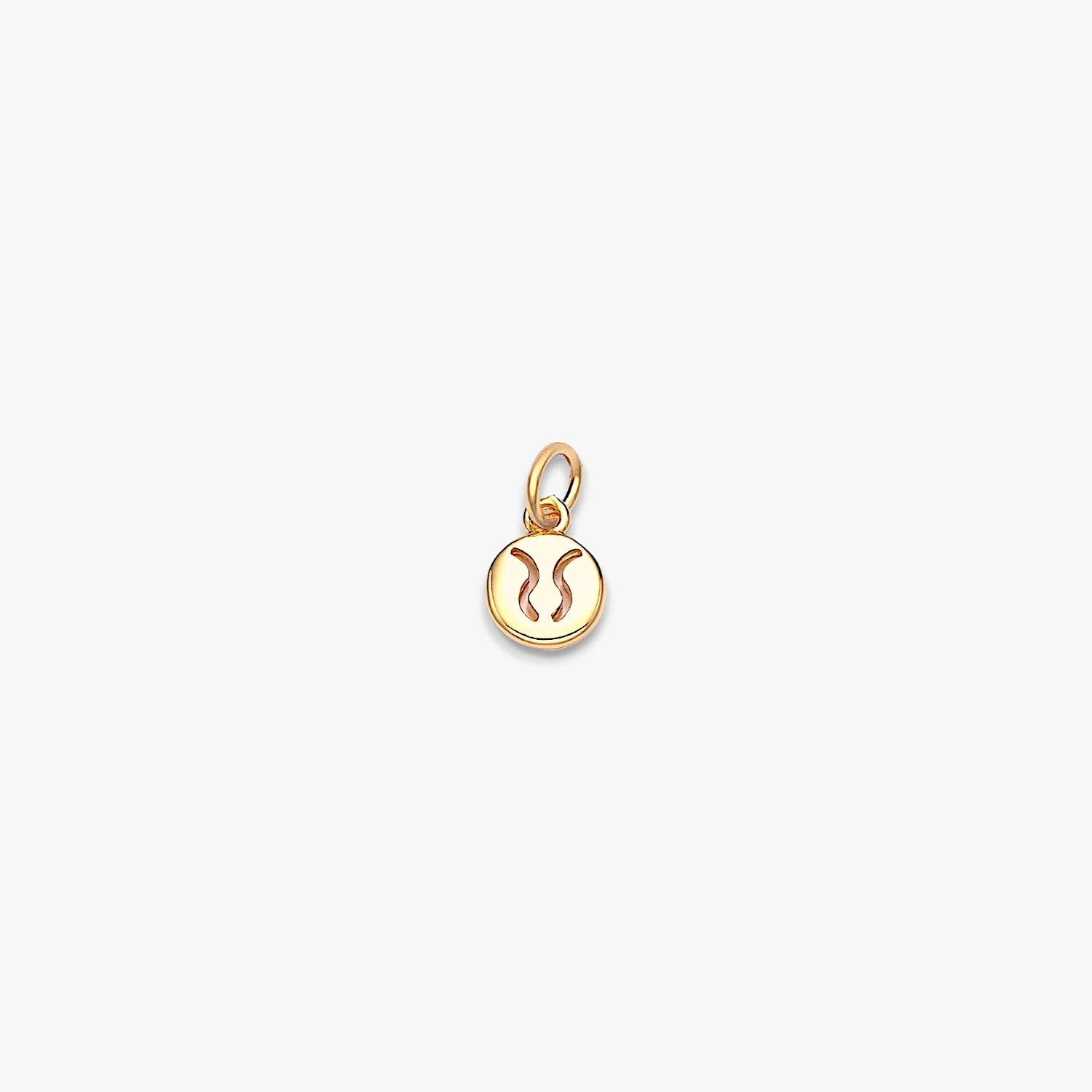 Tiny Zodiac Disc Charm