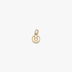Tiny Zodiac Essence Charm